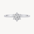 Adorned Diamond Ring