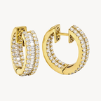 Polished Earring
