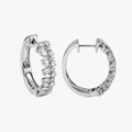 Exquisite Earring