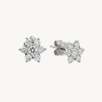 Precious Diamond Earring