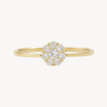 Noble Diamond Ring