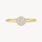 Noble Diamond Ring